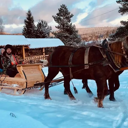 Hotel Зубровиця *