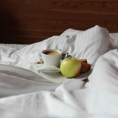 Hotel Зубровиця *